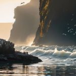 Guide on how to watch seabirds.